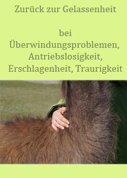 zur Intervention