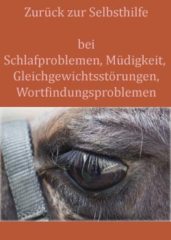 zur Intervention