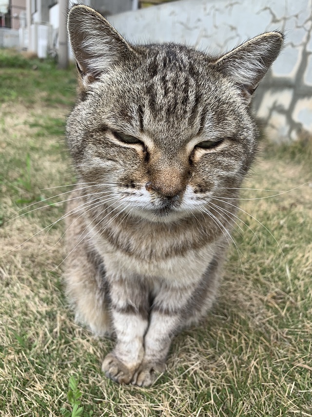 朝はねむい．．．