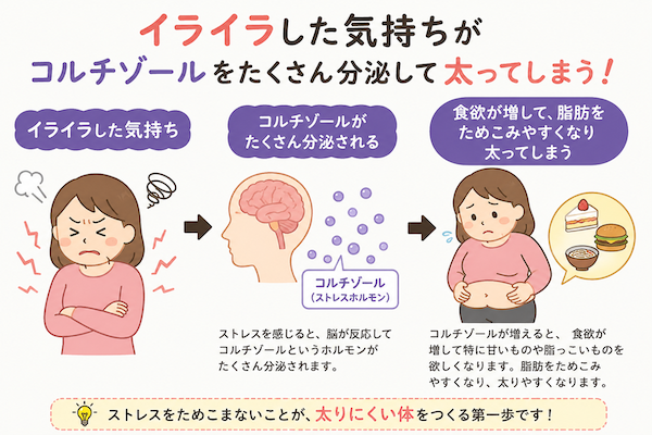 イライラすると太る!? ストレスホルモン「コルチゾール」の恐ろしい正体