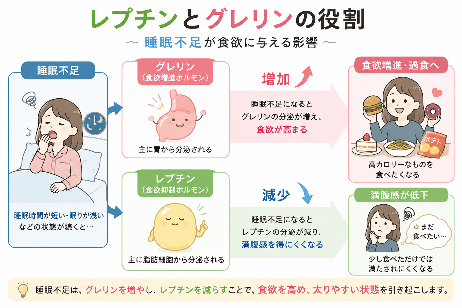 寝不足で食欲が暴走する科学。脳を支配する２つの「満腹・空腹ホルモン」の正体