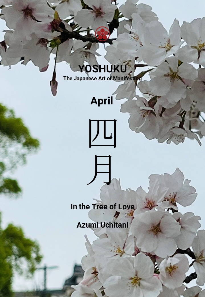April Reflection - Sakura, in the tree of love