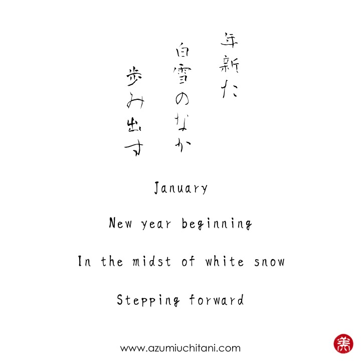 Haiku of the month January Navigate your business and life with