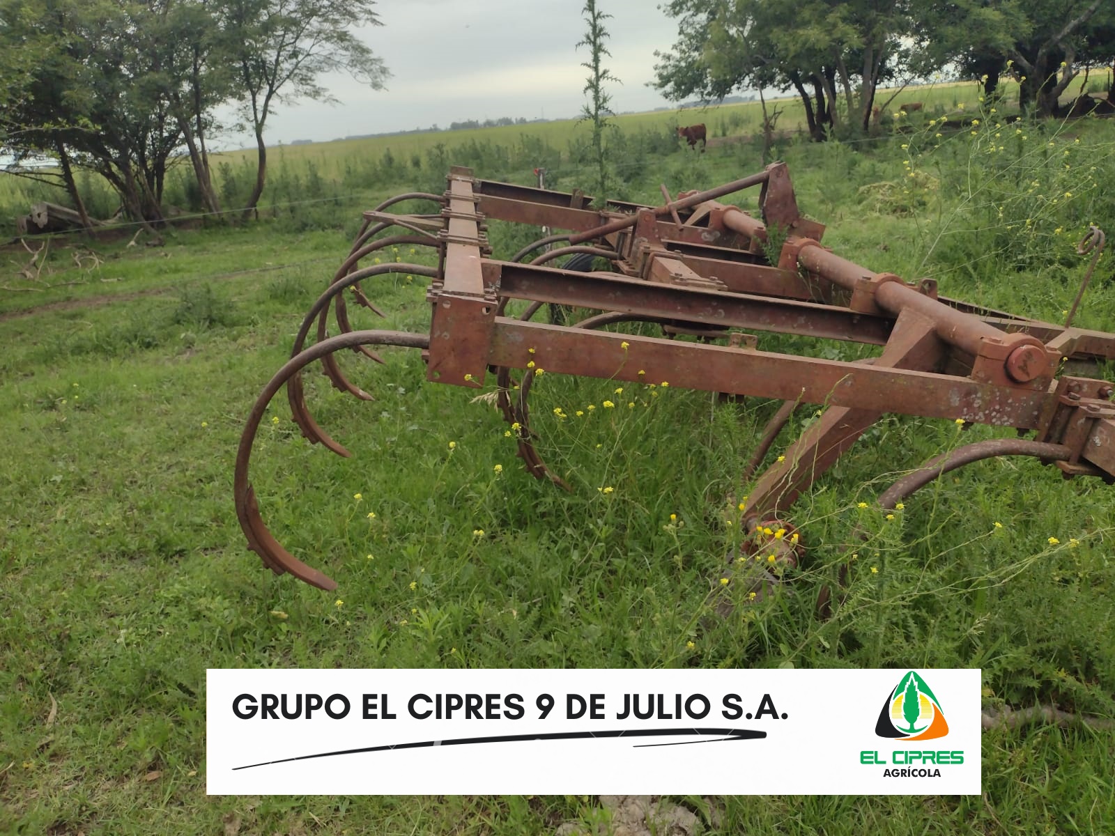 Cincel de 13