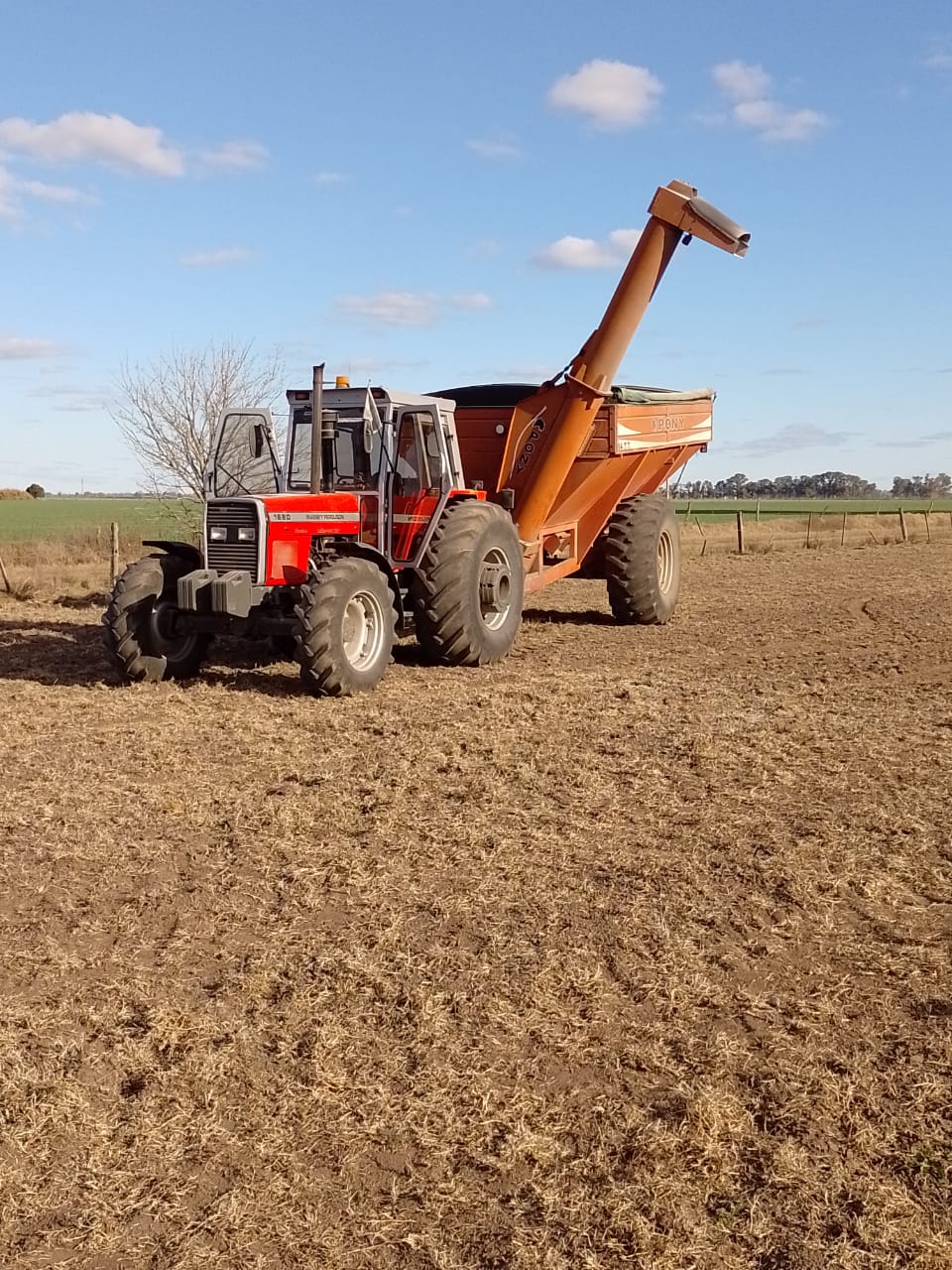 Tractor Massey Ferguson 1680. 