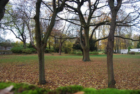 Le parc