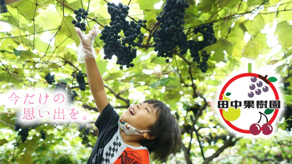 田中果樹園公式ホームページ