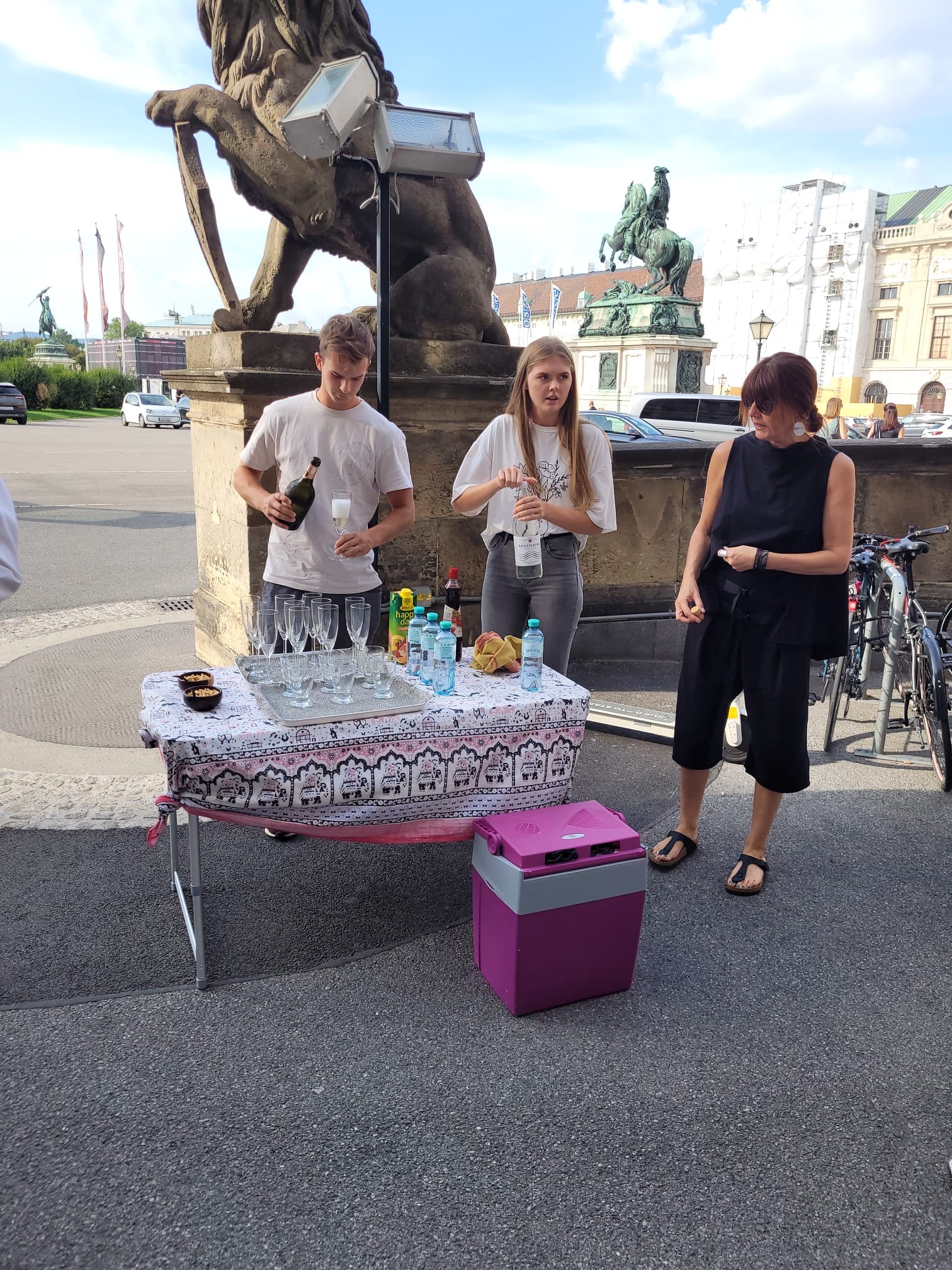 Stadtbesichtigung Wien mit Getränke inkludiert