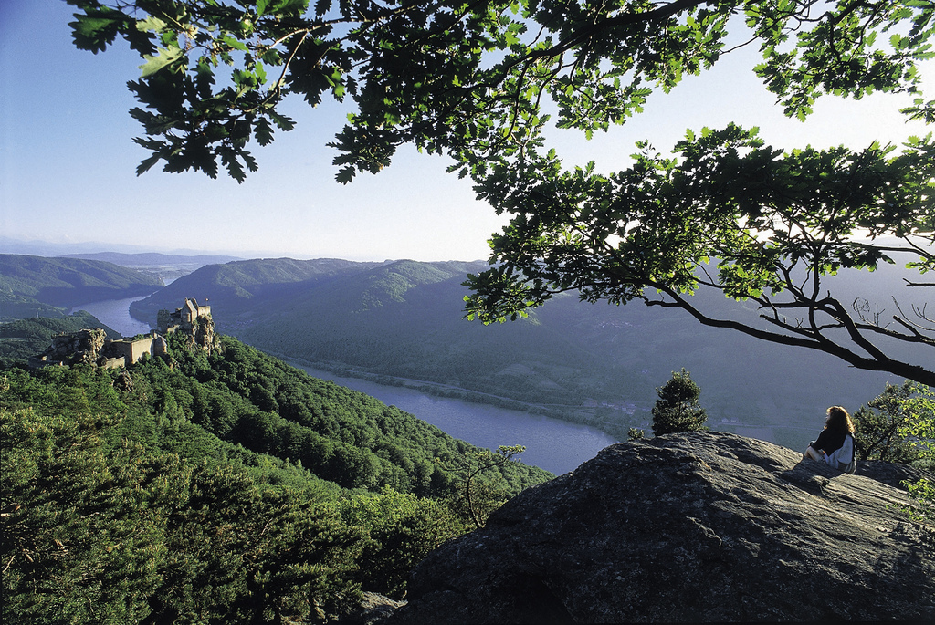 Weltkulturerbe Wachau - private Führung