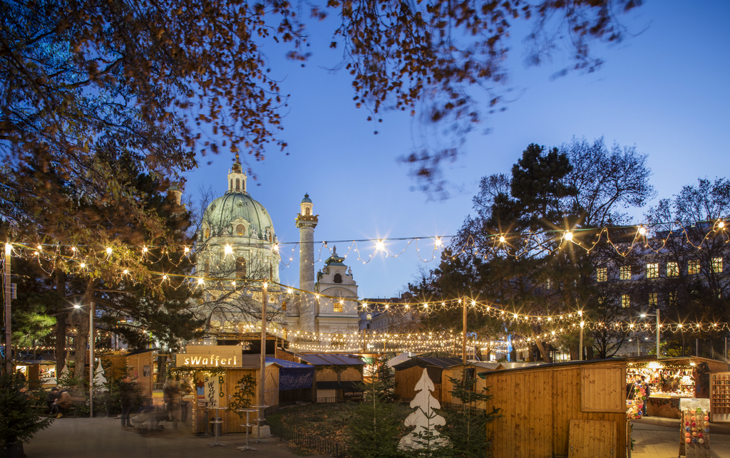 Stadtbesichtigung Wien privat