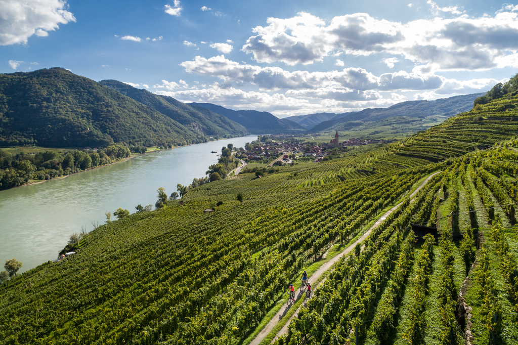 Donau und Wein - Wachau