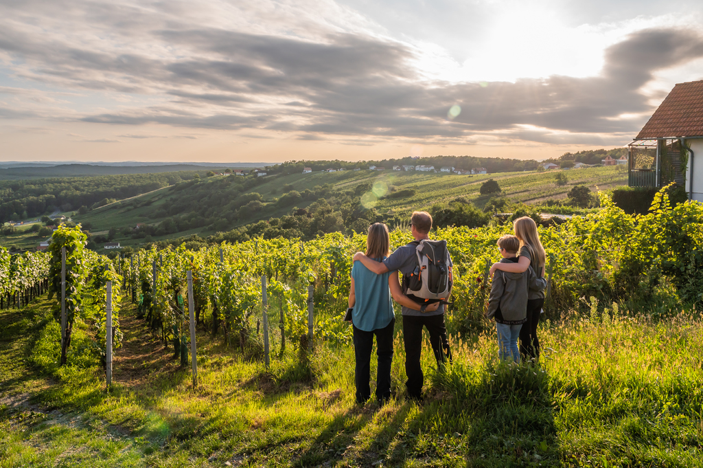 Vinyards in Burgenland