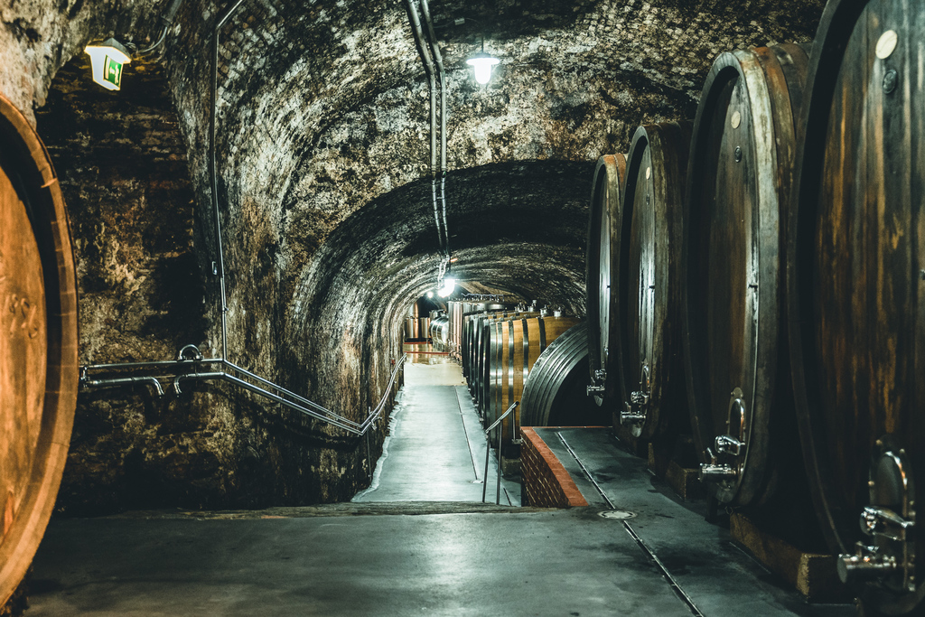 Wein in der Wachau - Weinverkostung