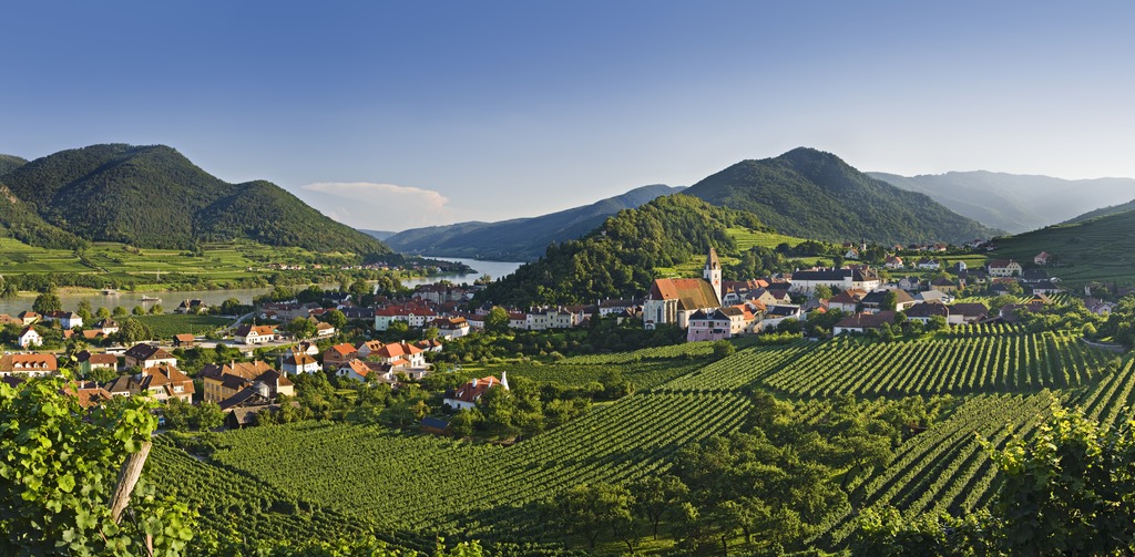 Weinberge in der Wachau 