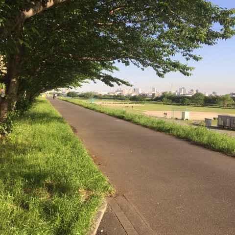 ペットシッター　キャットシッタ―　多摩川　サイクリングロード　６月　繁忙期　大田区　川崎