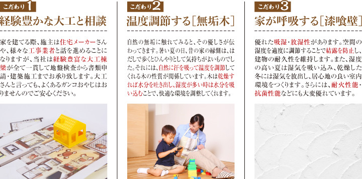 無垢と漆喰の家 特徴