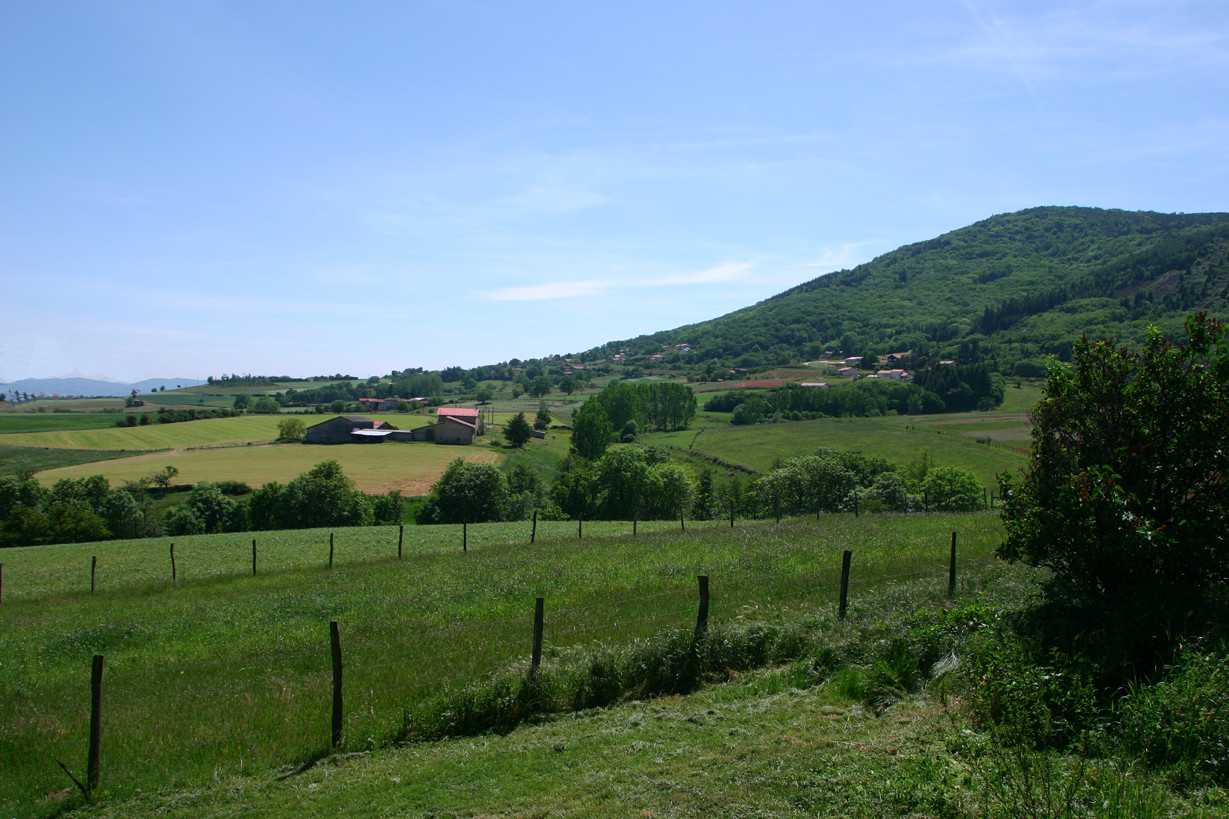 La campagne autour du gîte dans le Parc du Pilat 