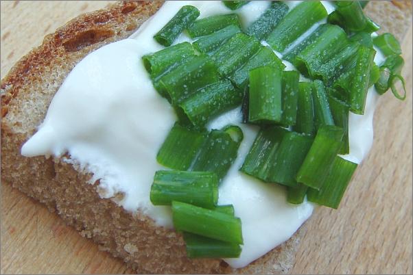 Aufstrich auf Roggenbrot, mit Schnittlauch