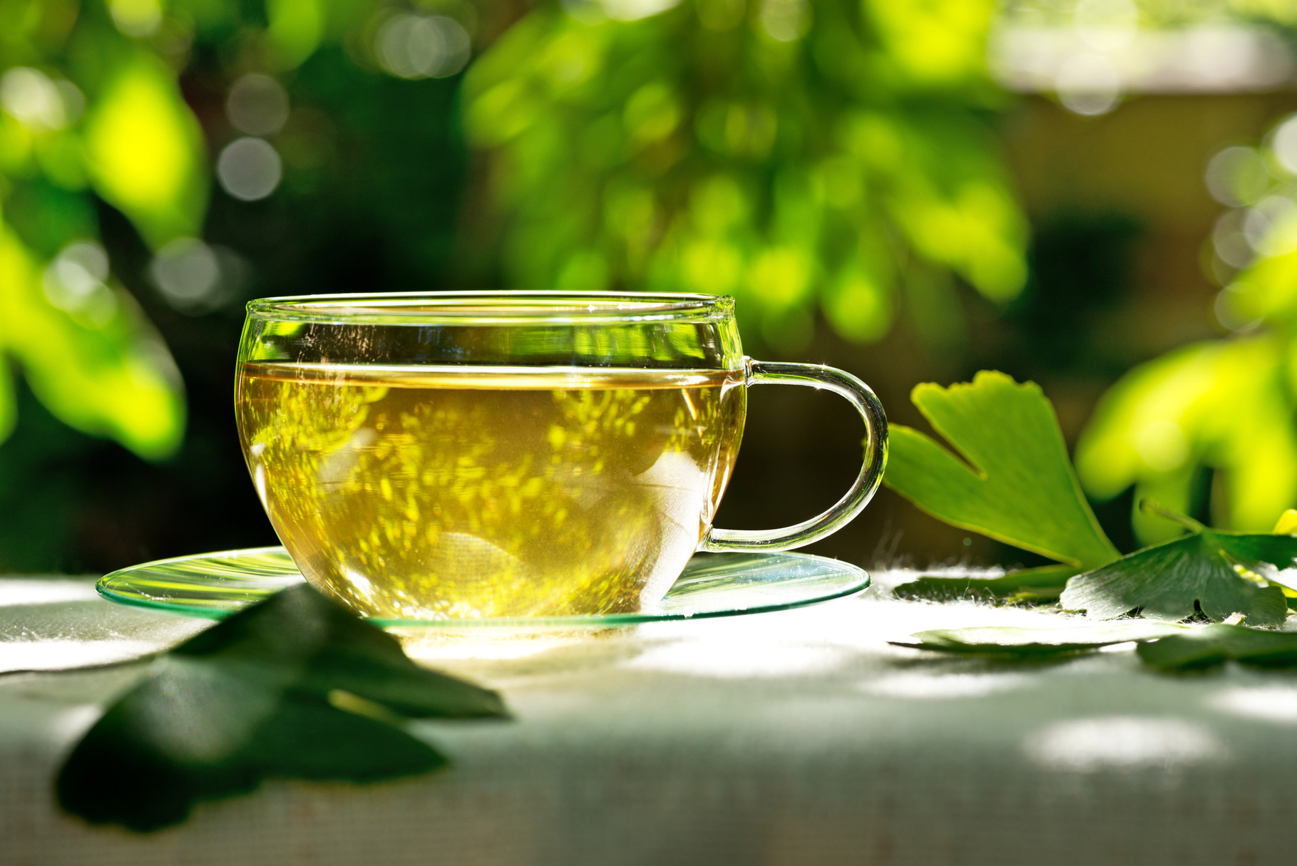 Tee's und Kräuter - mehr als Gaumengenuss - Phytotherapie