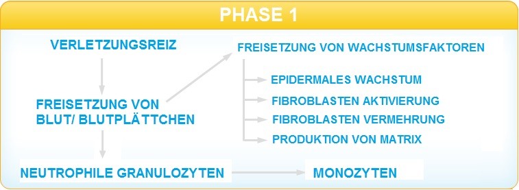 Microneedling Hamburg