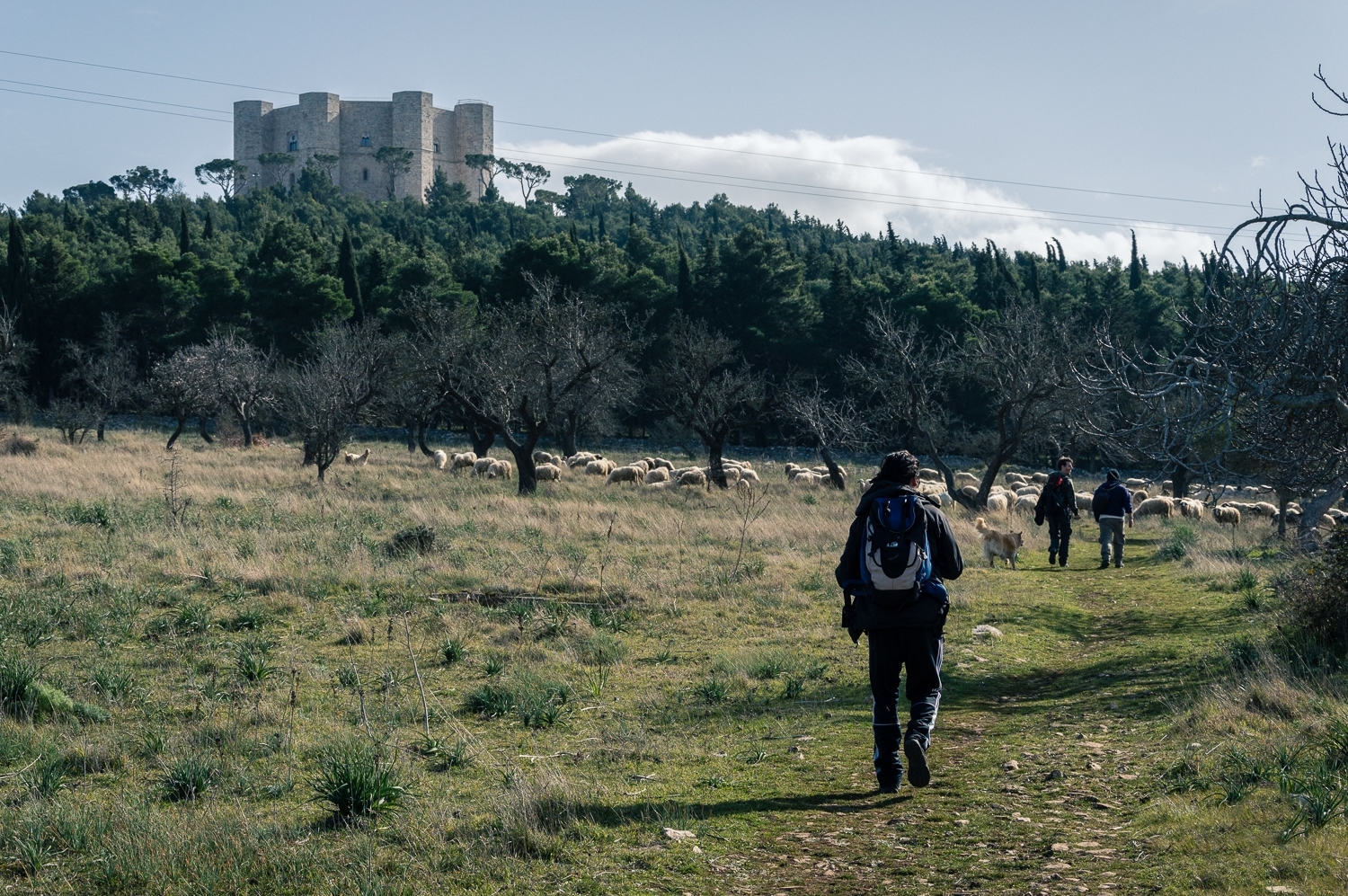 Castel del Monte