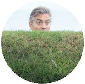 The Descendants