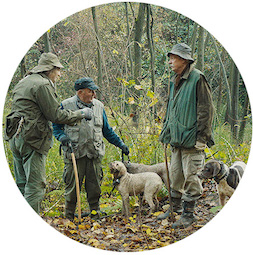 The Truffle Hunters