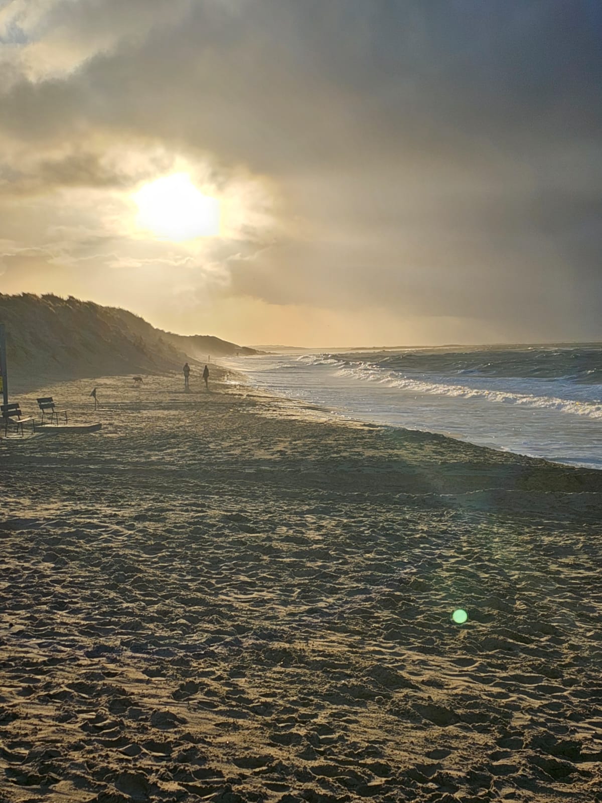 Strand Renesse