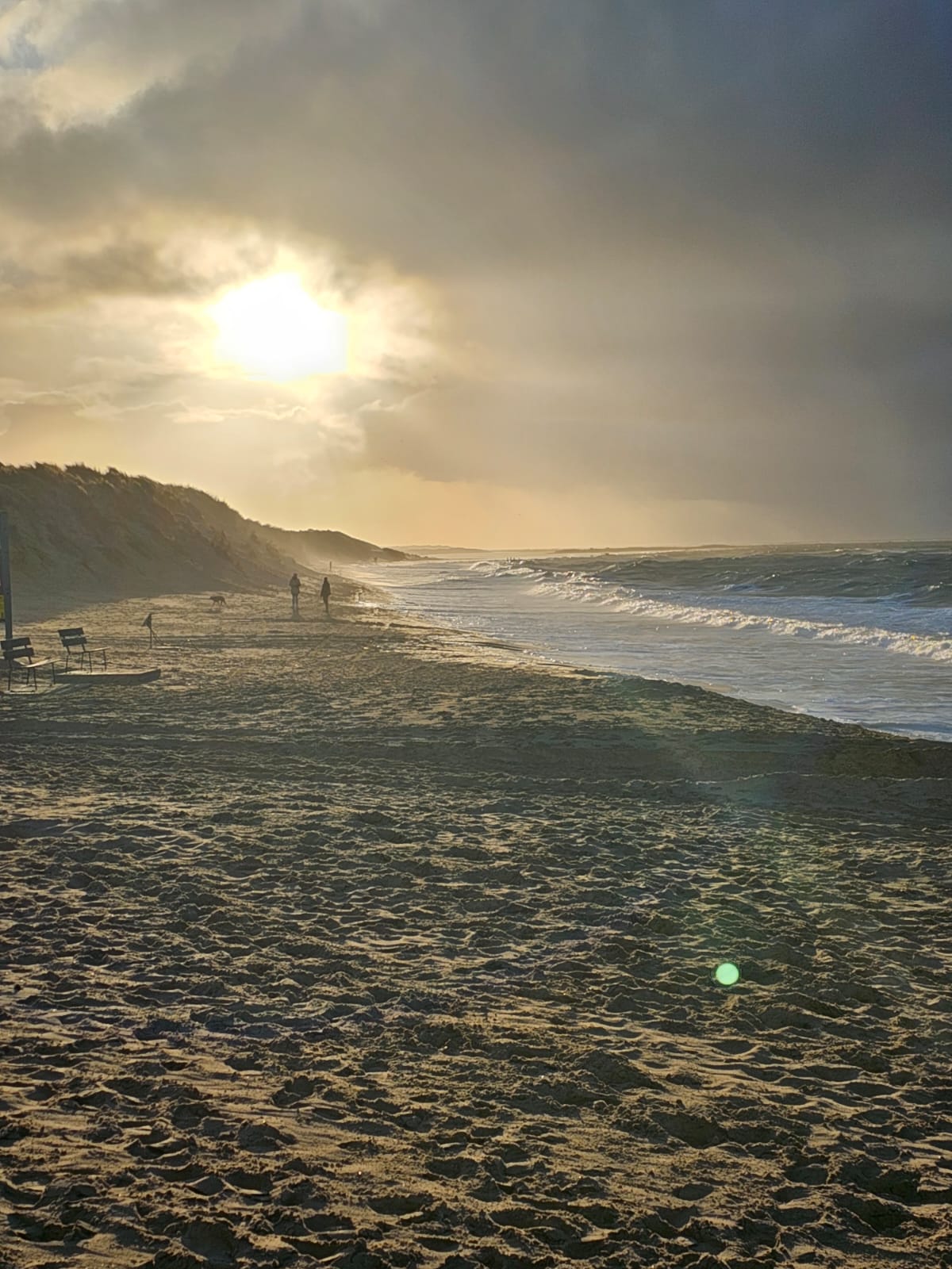 Strand Renesse