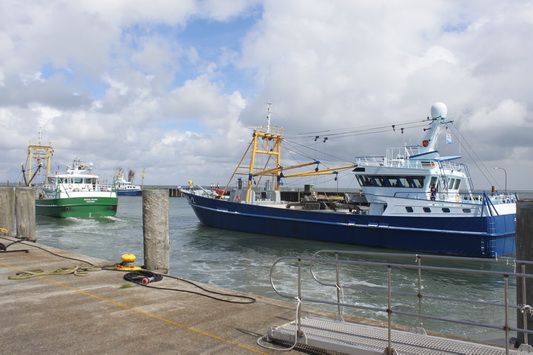 Sehenswürdigkeit Hafen von Hörnum