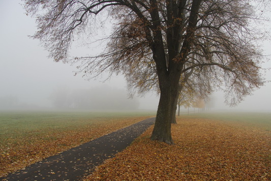 Herbst