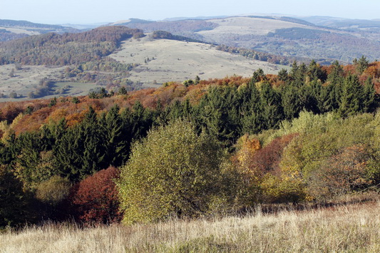 Herbst in der Rhön