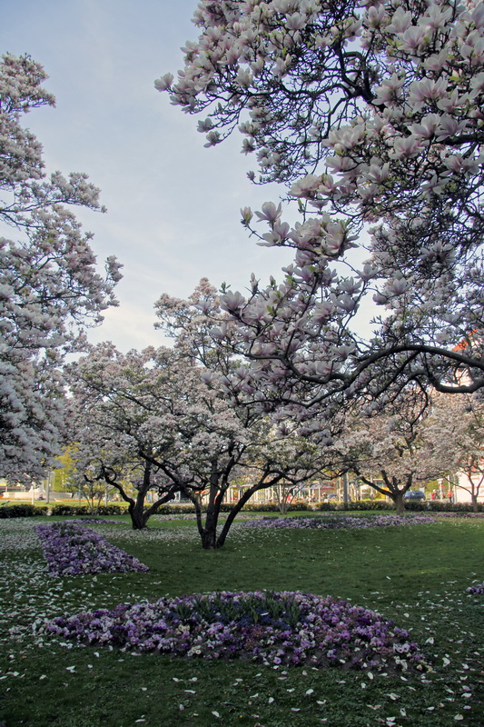 Frühling