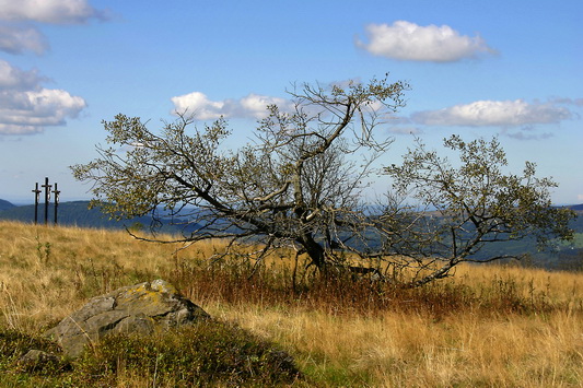 Herbststimmung