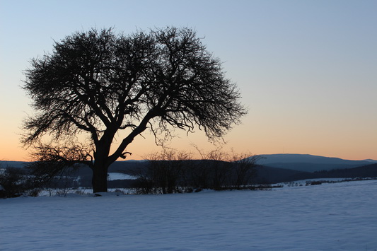 Winter