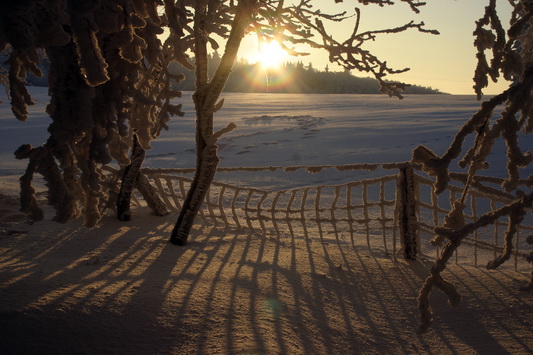 Winter