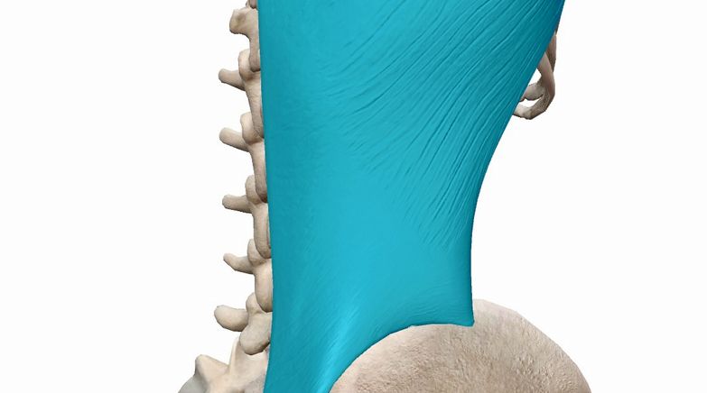 腰の違和感、その正体は「腰のねじれ」かも？原因の対策を徹底解説