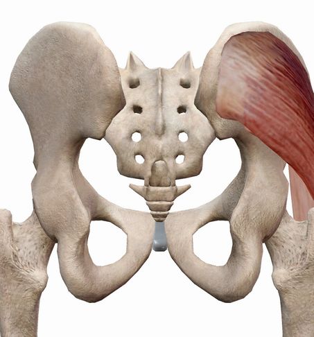 その腰の痛み、原因は仙腸関節かも