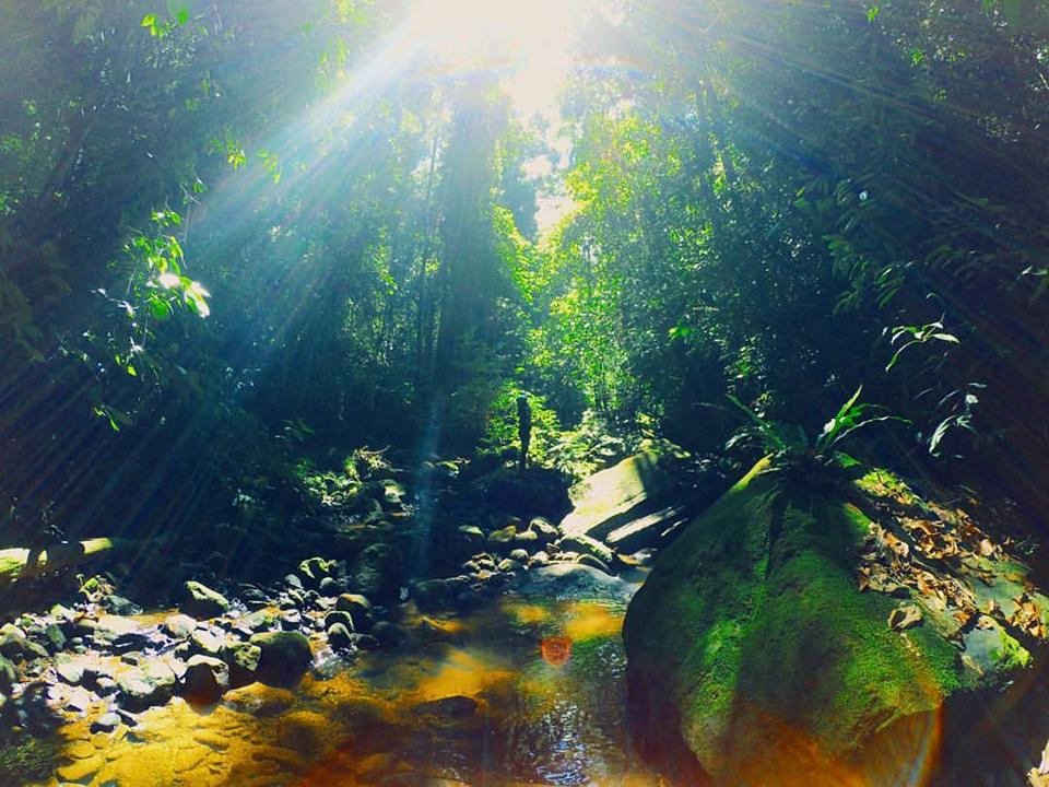 An environmental science's study site in Sabah. Photo credit to Darshanaa. 