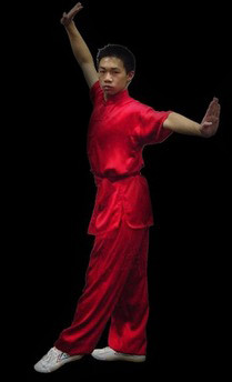 Kung Fu Tenerife, Wushu Tenerife, Kung Fu La Laguna, Wushu La Laguna, Kung Fu Canarias, Wushu Canarias