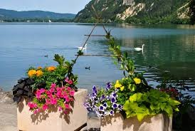 lac de Nantua en été