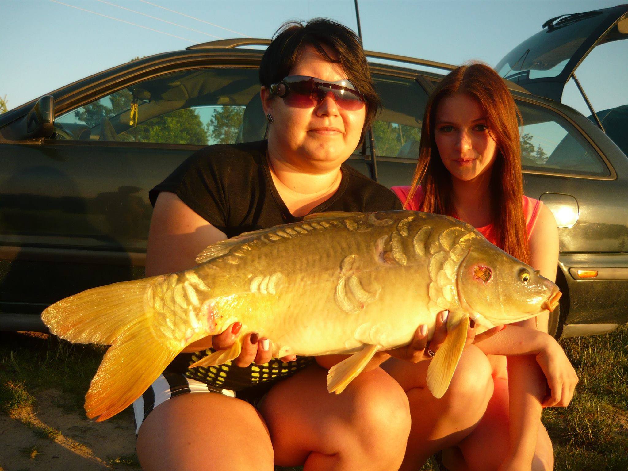 Karp