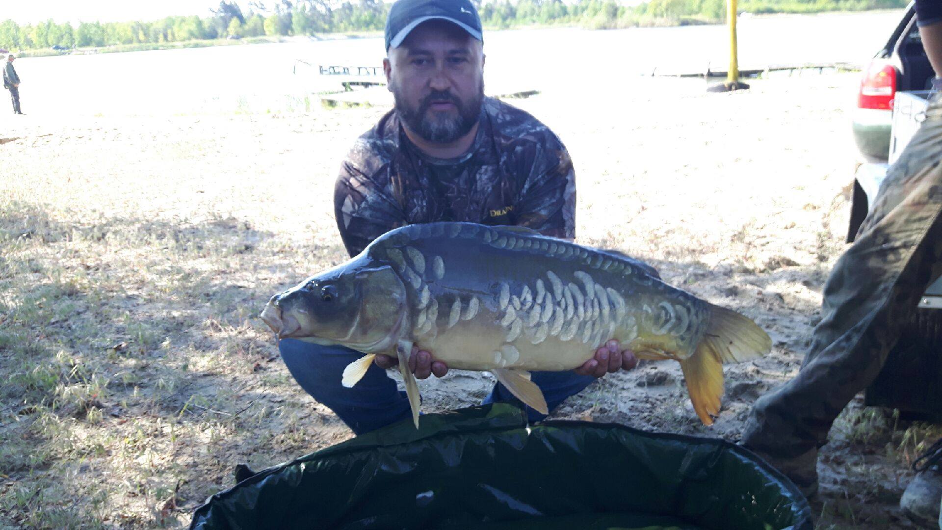 Karp