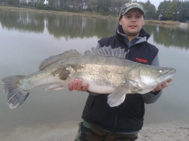 Sandacz 9,25 kg 94 cm.