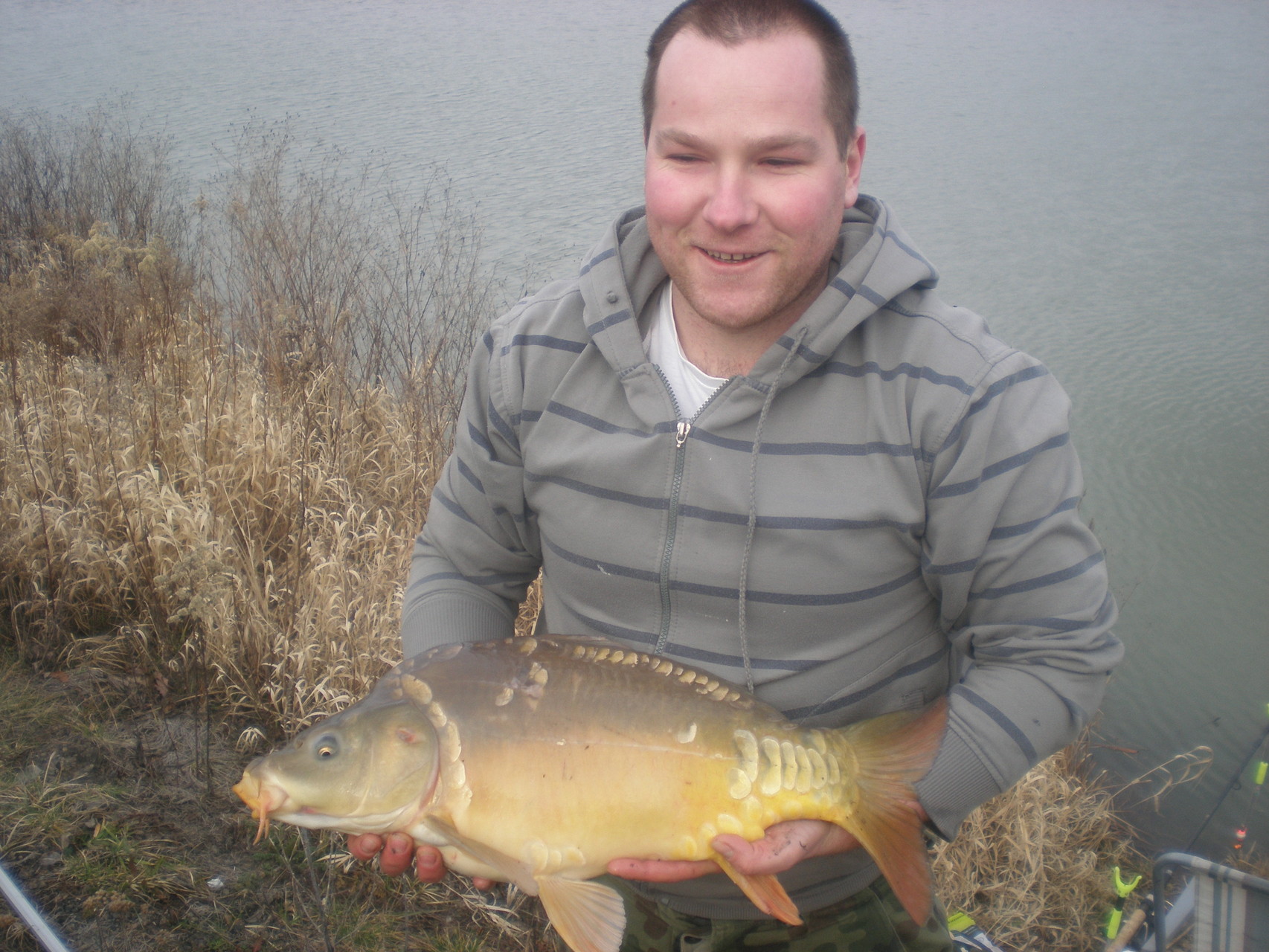 Karp 62 cm.