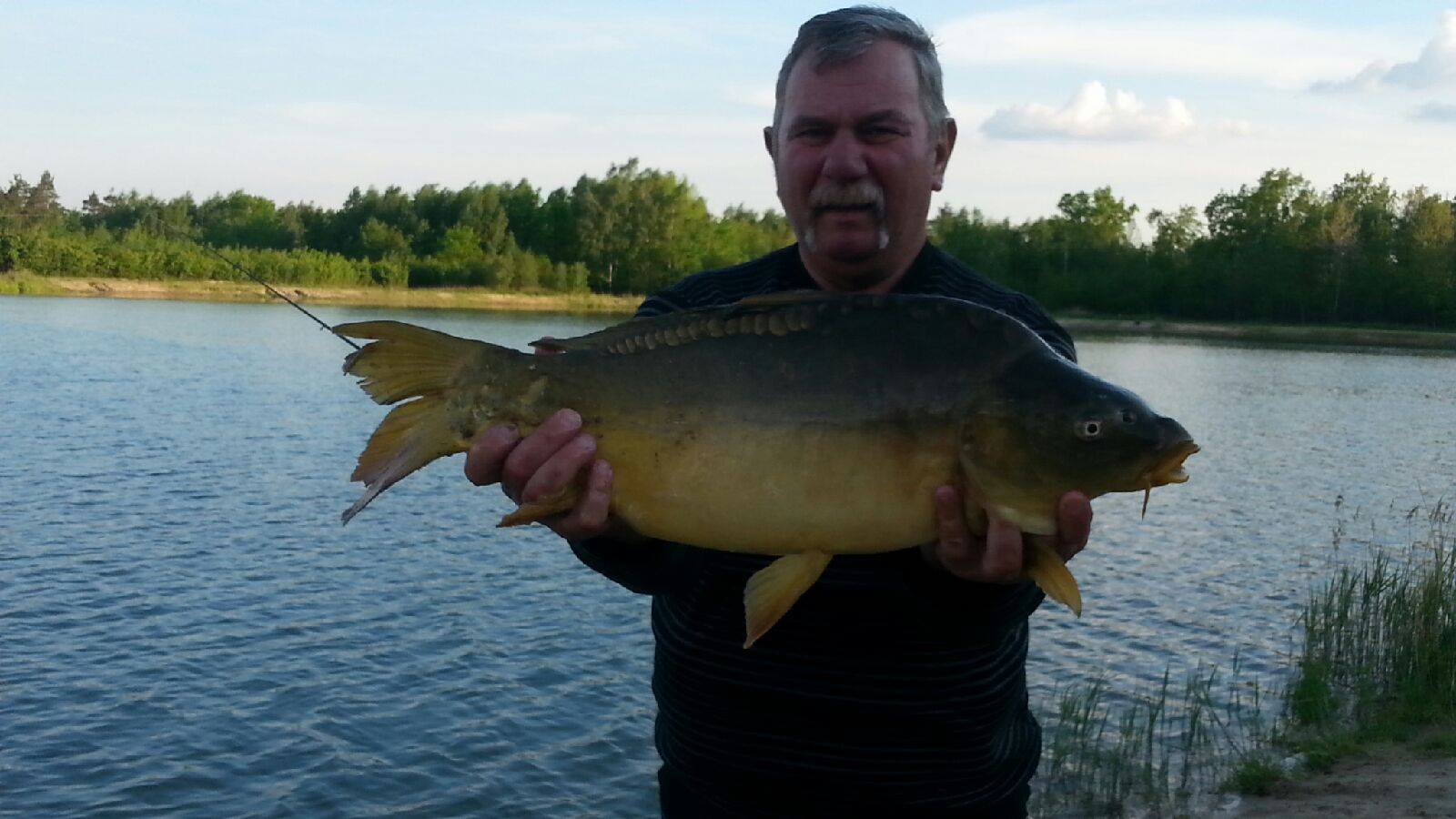 Karp