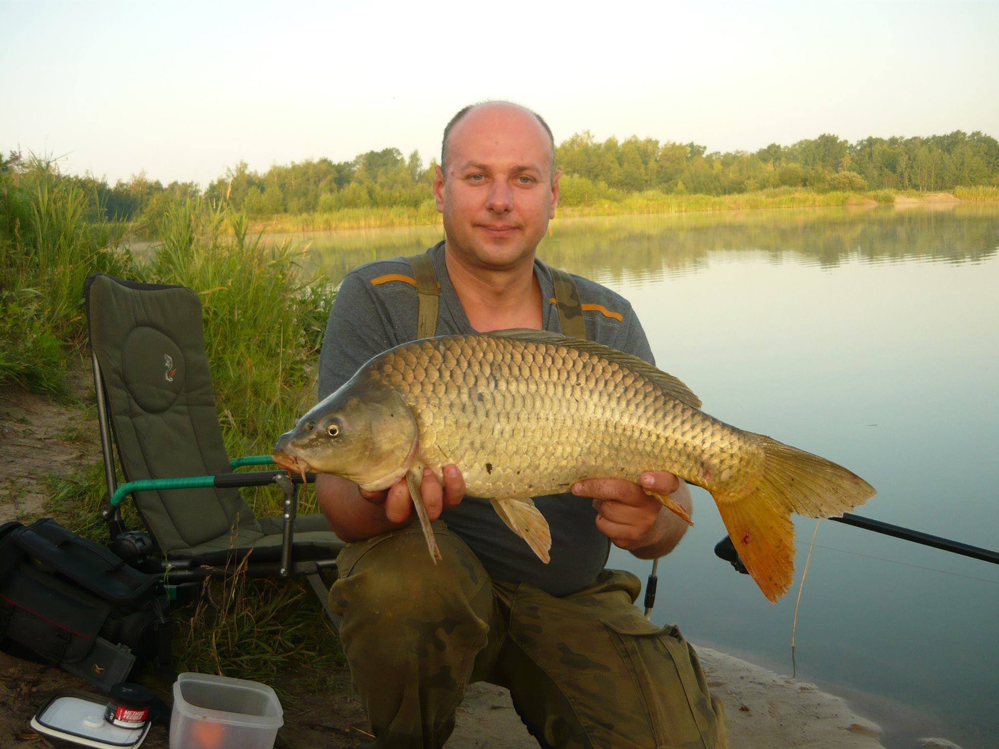 Karp