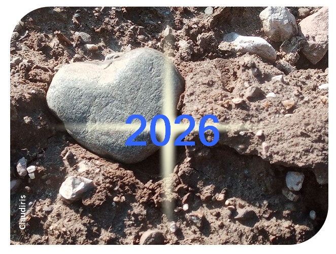 Nouvelle Lune du 18 janvier, organiser, nettoyer le terrain et semer la graine...