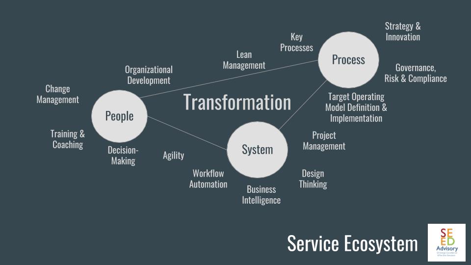 SEED ADVISORY - Transformation Consulting Services Ecosystem