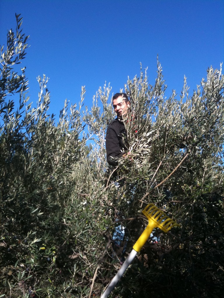 Jonathan retrouve ses souvenirs d'enfance en montant dans les arbres